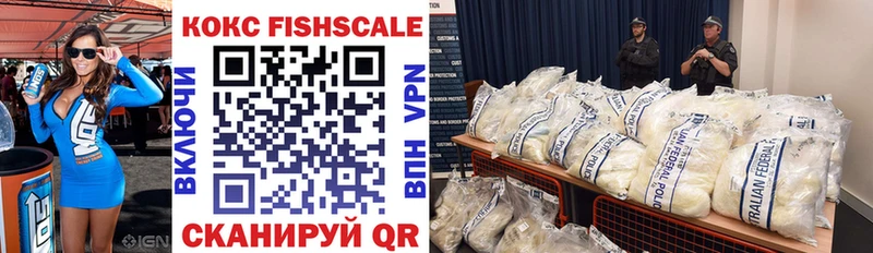 COCAIN FishScale  Купить закладки  Верхотурье 