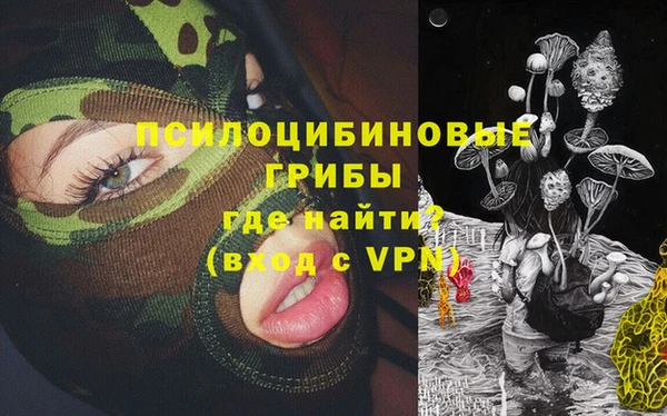 соль ск Пролетарск